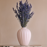 Lavender with Budvase