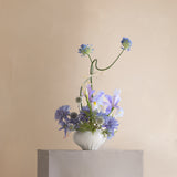 The White Lotus Ceramic Frog Vase