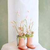 The Gardener | Bunny Tails
