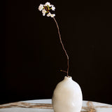 The Cloud Ceramic Vase