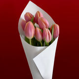 La Tulipe