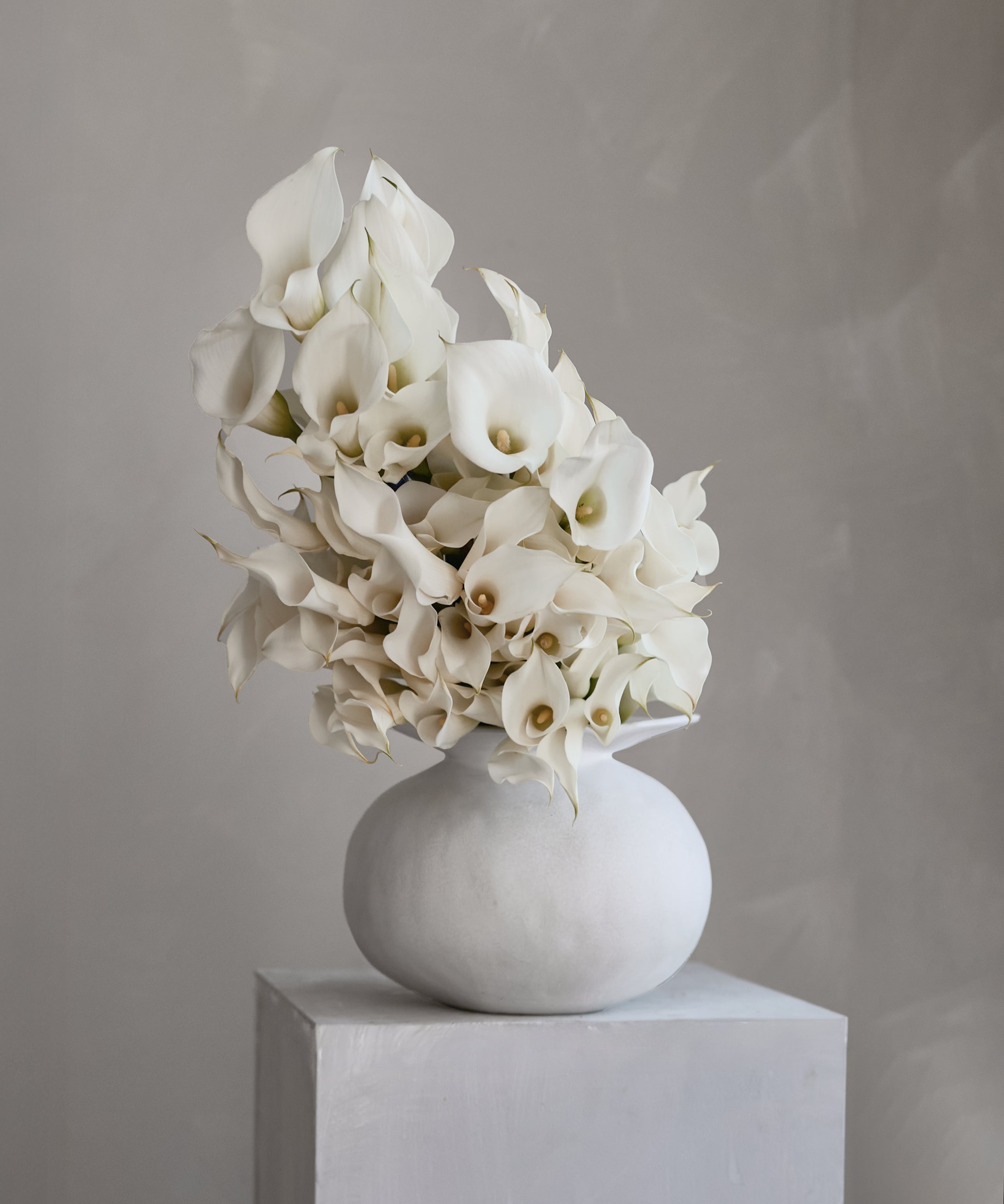 Fresh Flower Care