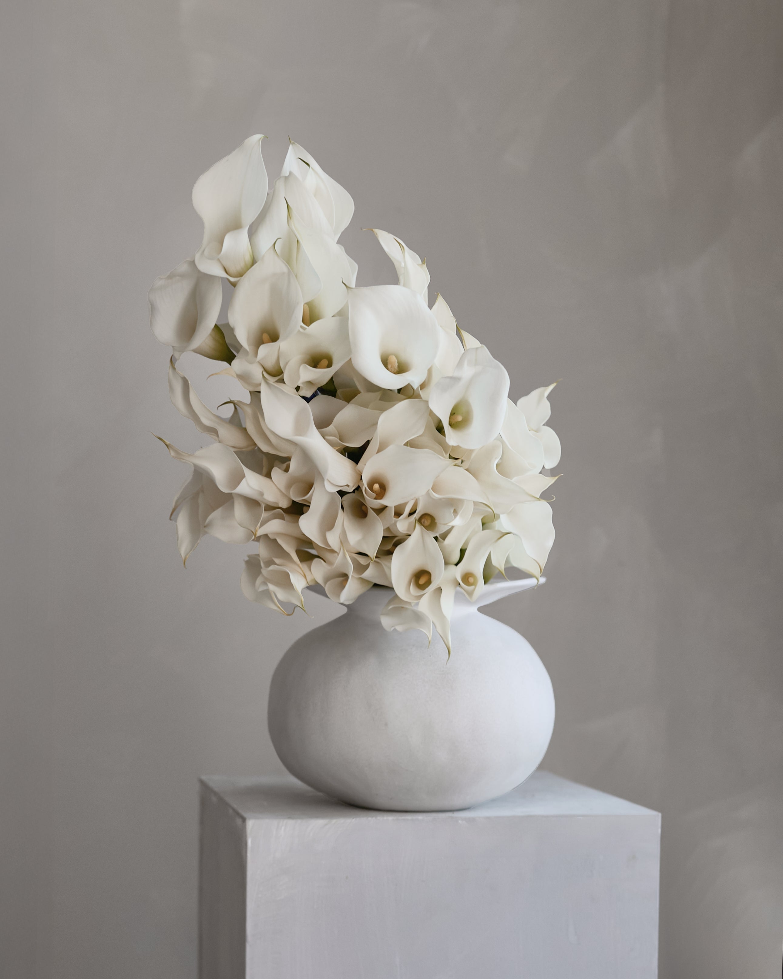 Fresh Flower Care