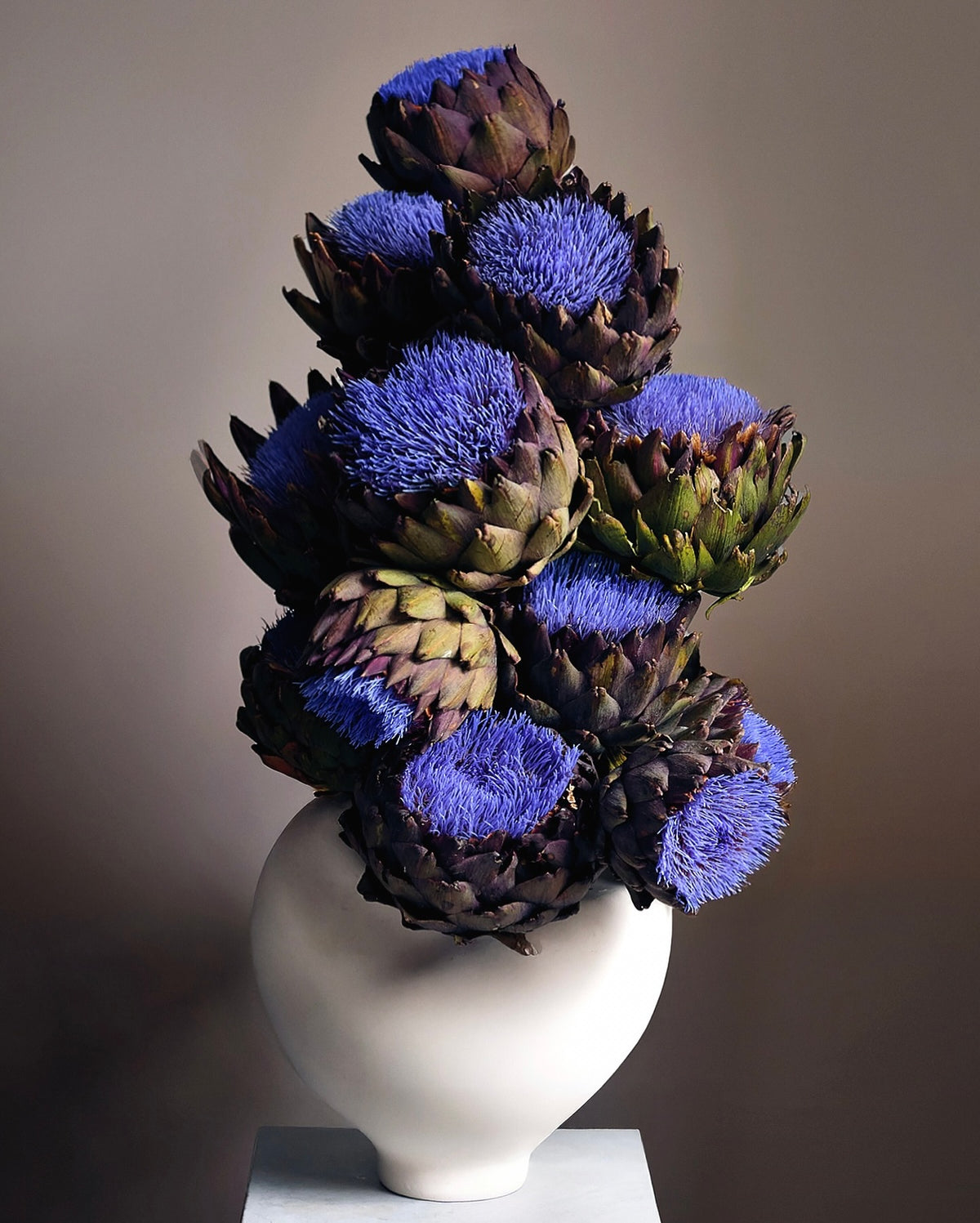 Artichoke, Pinker Times Atelier