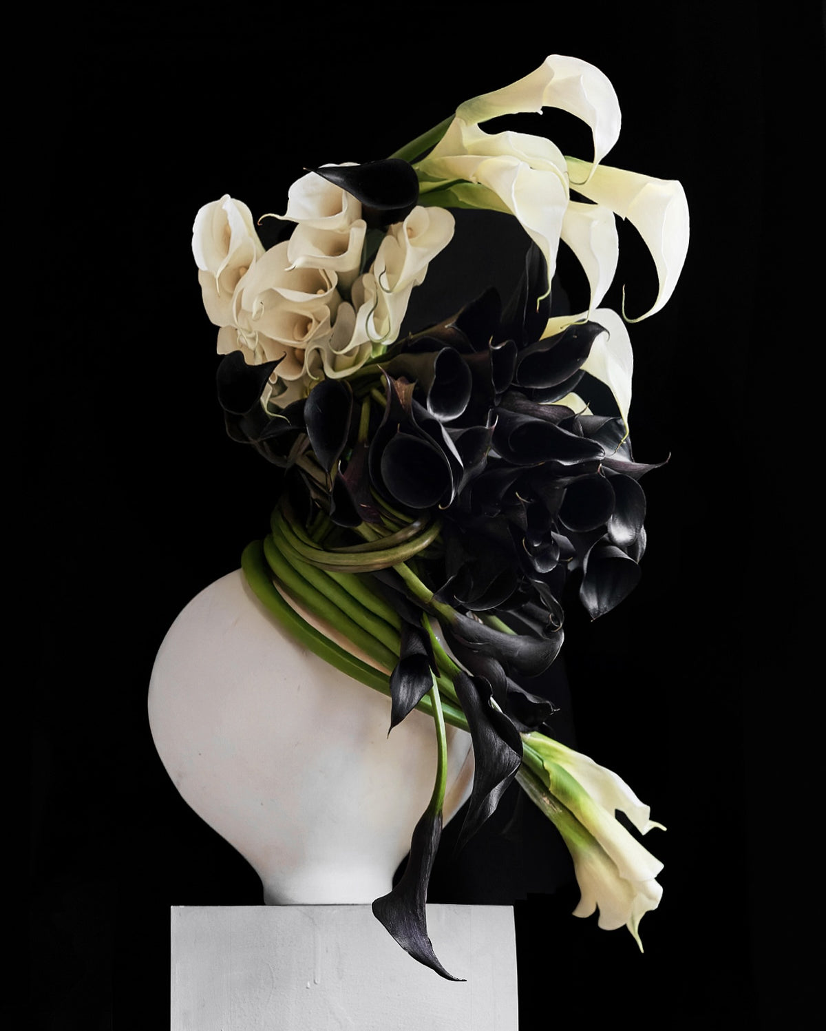 Calla, Pinker Times Atelier