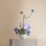 Women's History Month Workshop: Ikebana Unbound
