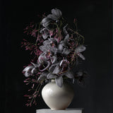 Grey cymbidium orchids and dark calla in a cream vessel