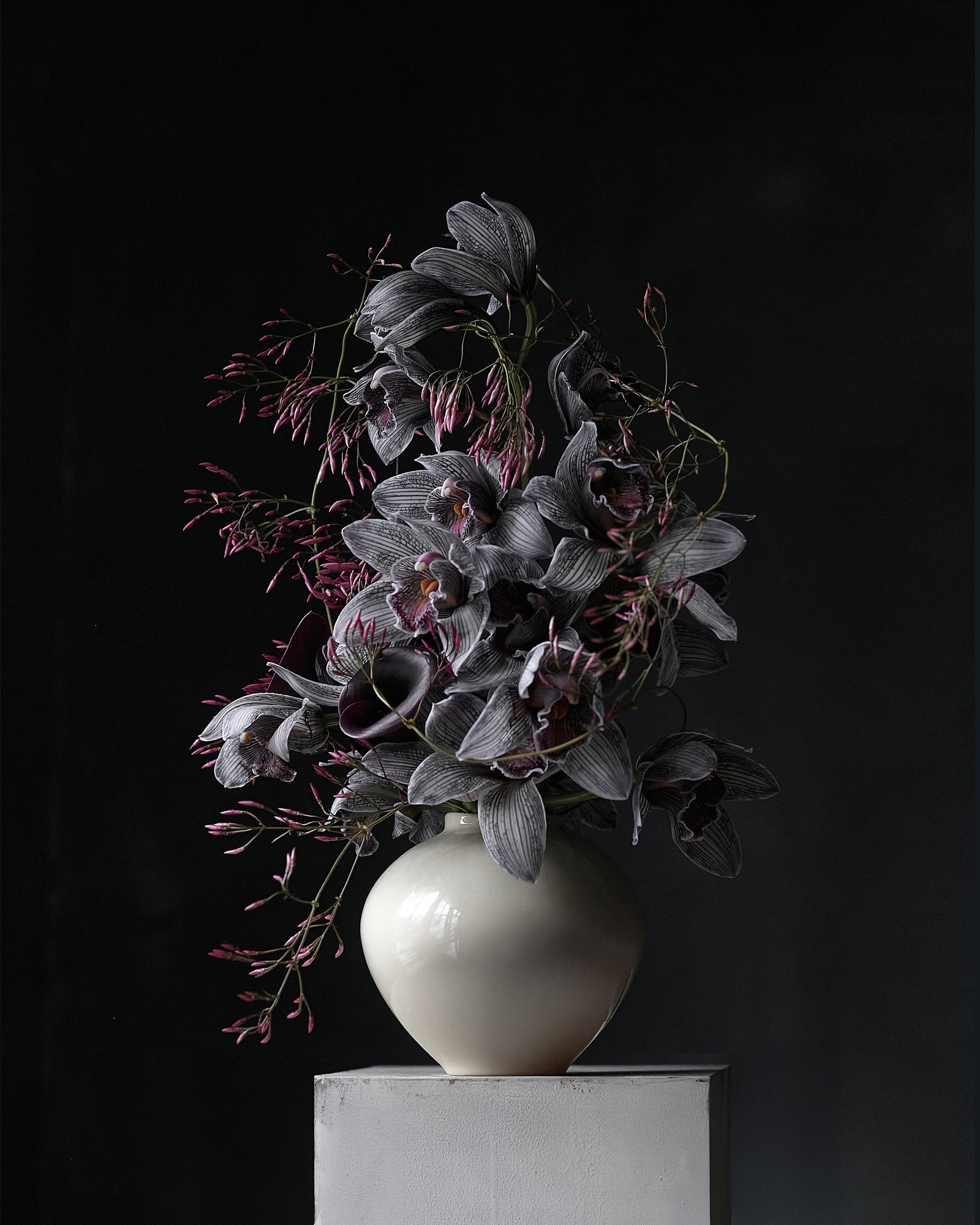 Grey cymbidium orchids and dark calla in a cream vessel