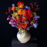 Ranunculus, kangaroo paw and hellebore in a cream vessel