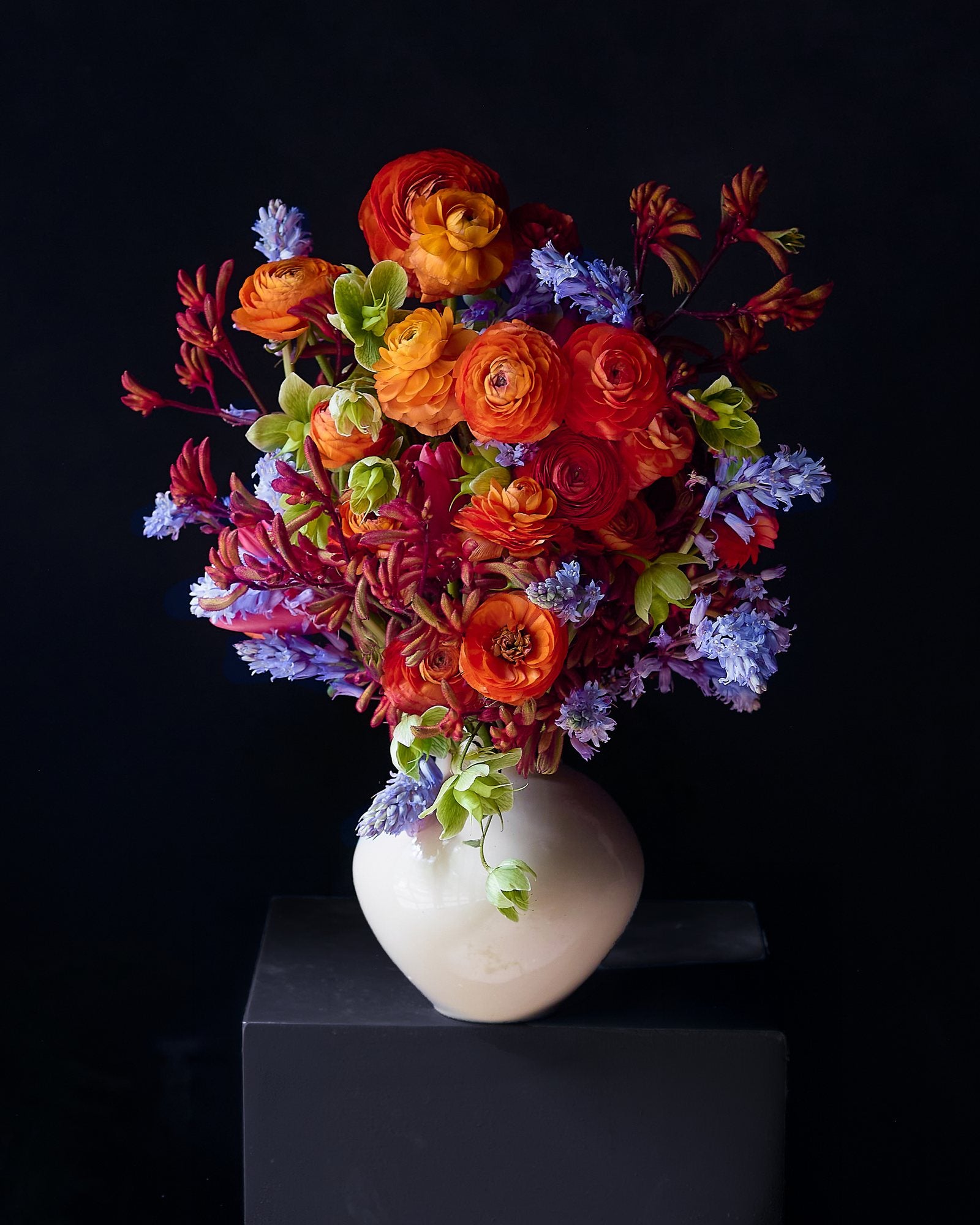 Ranunculus, kangaroo paw and hellebore in a cream vessel
